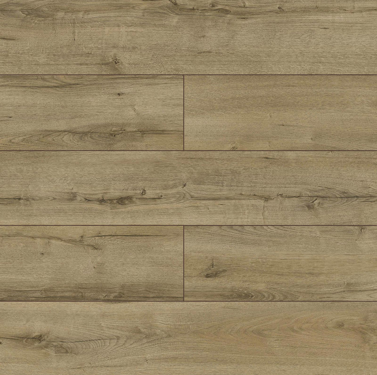 Canyon Oak 12mm KingFloor Aqua+ 1.93m2 | Bearfoot Laminate Flooring ...