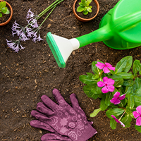 Garden Landscaping | Get Your Garden Summer Ready  – Ronayne Hardware