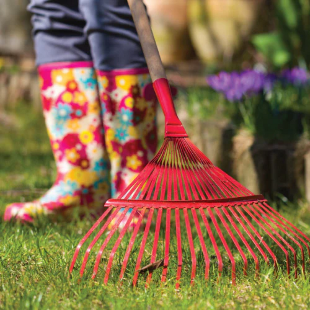 Spring Clean: Your Ultimate Guide to Garden Revival - Ronayne